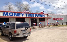 Money Tree Pawn photo