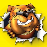 Big Dog Pawn & Jewelry logo