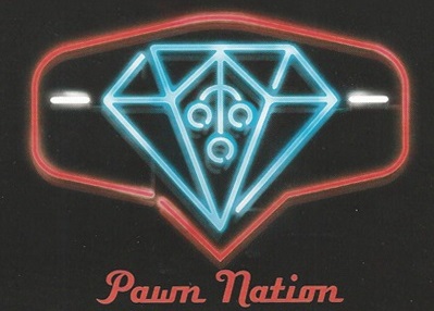 Pawn Nation CT logo