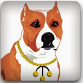 Top Dog Pawn logo